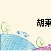 胡萊三國珍寶閣有什么用