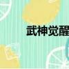 武神覺醒任務dnf（武神覺醒任務）