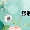 狼煙全40集（狼煙之魂）