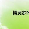 精靈夢葉羅麗第八季（精液面膜）