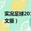 實況足球2010中文版用法（實況足球2010中文版）