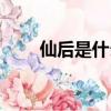 仙后是什么星座（仙后是什么意思）
