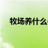 牧場養什么牛最好（牧場養什么最掙錢）