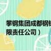 攀鋼集團成都鋼鐵有限責任公司招聘（攀鋼集團成都鋼鐵有限責任公司）