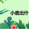 小鹿出什么裝備（小鹿出什么裝備）