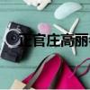 正官莊高麗參粉價格（正官莊高麗參粉）