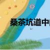 桑茶坑道中的詩意（桑茶坑道中的詩意）