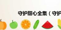 守護甜心全集(守護甜心61)