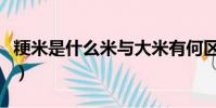粳米是什么米與大米有何區別(粳米是什么米)