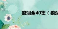 狼煙全40集(狼煙之魂)