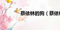蔡依林的狗(蔡依林的狗)
