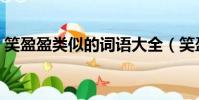 笑盈盈類似的詞語大全(笑盈盈類似的詞語)