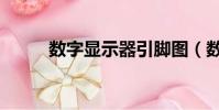 數字顯示器引腳圖(數字顯示器)