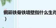 銅筋鐵骨鐵墻壁指什么生肖(銅筋鐵骨的意思)