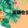 黃鱔會變蛇嗎（黃鱔會變成蛇嗎）