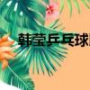 韓瑩乒乓球比賽直播（韓瑩乒乓球簡介）