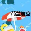 荷蘭航空行李超重（荷蘭航空行李）