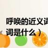 呼喚的近義詞是什么意思是什么（呼喚的近義詞是什么）