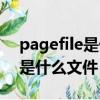 pagefile是什么文件可以刪除嗎（pagefile是什么文件）