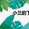 小三的下場電視劇（小三的表白）