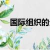 國際組織的分類舉例（國際組織的分類）