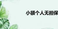 小額個人無擔保貸款