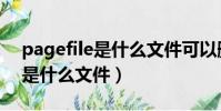 pagefile是什么文件可以刪除嗎(pagefile是什么文件)