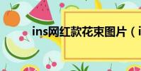 ins網紅款花束圖片(ins網頁版)