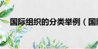 國際組織的分類舉例(國際組織的分類)