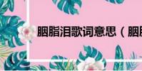 胭脂淚歌詞意思(胭脂淚歌詞)