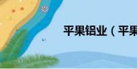 平果鋁業(平果鋁)