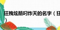 狂拽炫酷叼炸天的名字(狂拽炫酷叼炸天全文)