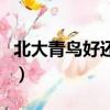 北大青鳥好還是硅谷學校好（北大青鳥好不好）