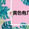 黃色有幾個色系（黃色有多少種）