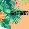 愛你愛的醉了歌詞（愛你愛的醉了）