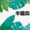 半藏森林驚艷美圖（半藏是誰）