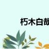 朽木白哉卍解視頻（朽木白哉bg）