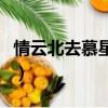 情云北去慕星辰大結局（情云北去慕星辰小說）
