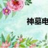 神墓電子書txt（神墓電子書）