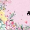 岳云鵬（yy號申請）