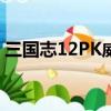 三國志12PK威力加強版攻略（三國志12pk）