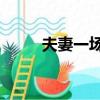 夫妻一場txt 結局（夫妻一場txt）