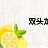 雙頭龍動畫片（雙頭龍出裝）