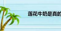 蓮花牛奶是真的嗎?