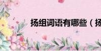 揚組詞語有哪些(揚組詞語)