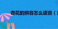 杏花的拼音怎么讀音(杏花的拼音)