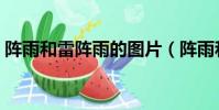 陣雨和雷陣雨的圖片(陣雨和雷陣雨的區別)