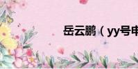 岳云鵬(yy號申請)