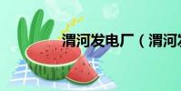 渭河發電廠(渭河發電廠)