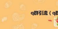 q群引流(q群)
